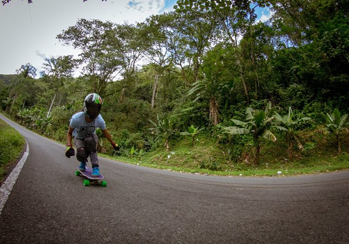 LANDYACHTZ HOLLOWTECH　CHARLIEHORSE　ダウンヒル Landyachtz - Charlie Horse Hollowtech 9.5