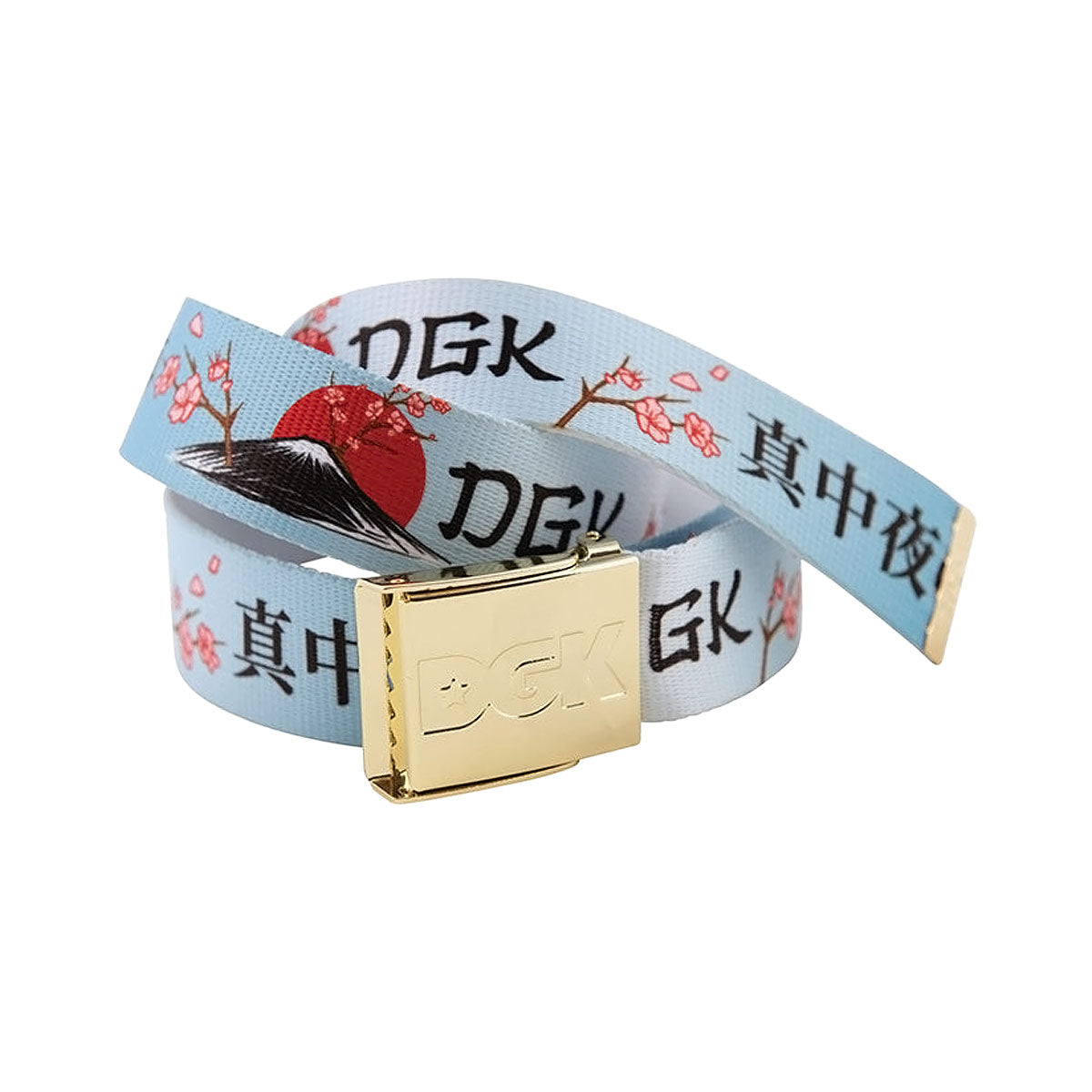 DGK Accord Belt - Multi image 1