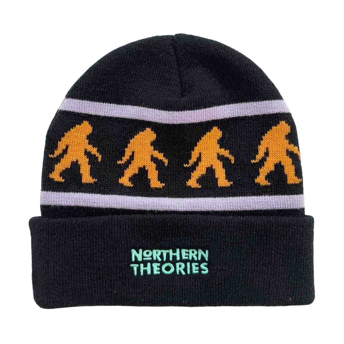 Theories Northern Theories Beanie - Black image 1