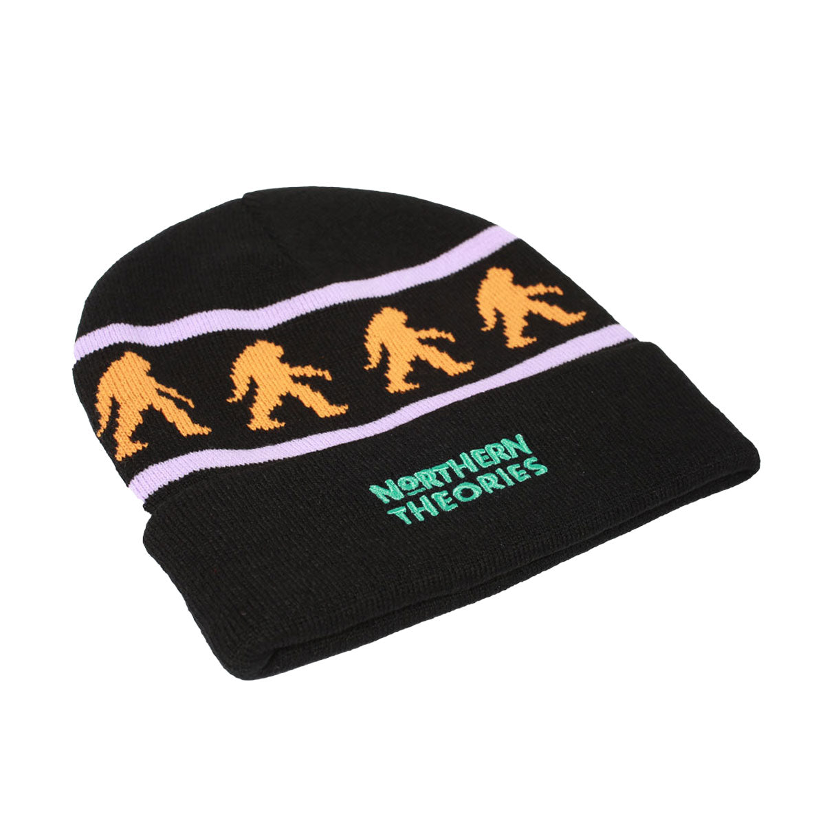 Theories Northern Theories Beanie - Black image 2