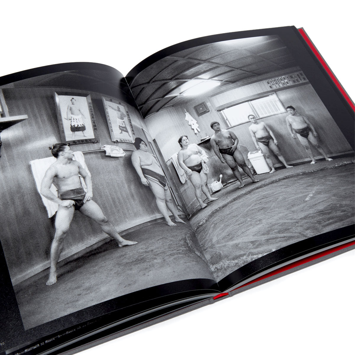 Super Labo The Joy Is In Capturing The Journey Book By Ray Barbee image 4