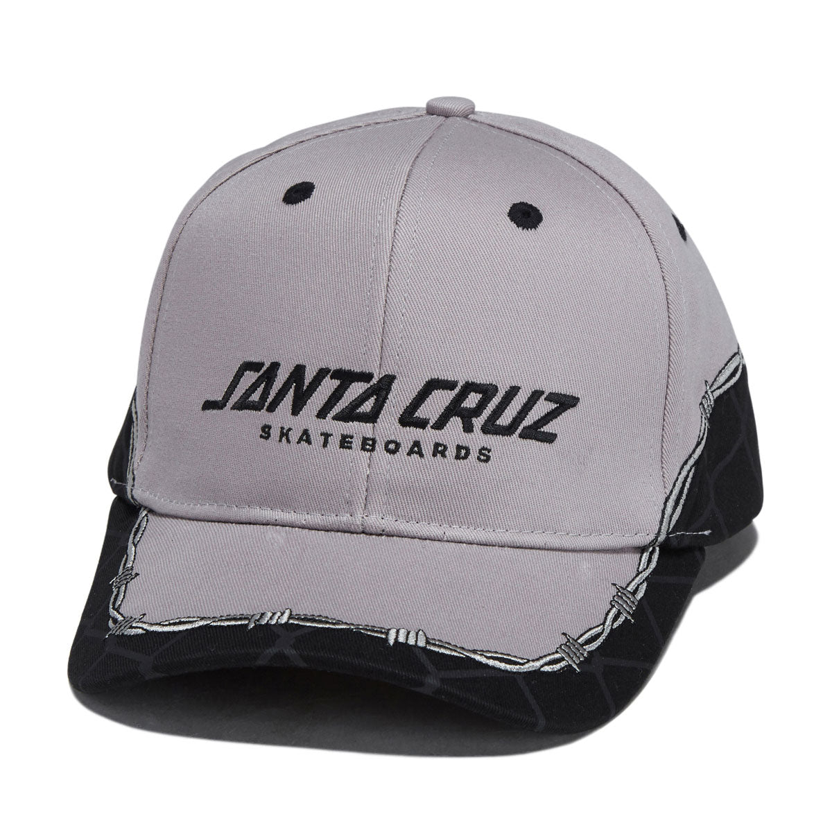 Santa Cruz Spot Snapback Hat - Grey Chain image 1