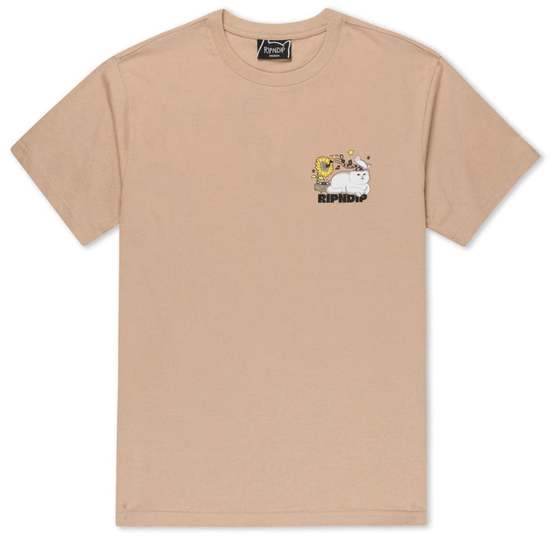 RIPNDIP No Music No Life T-Shirt - Almond