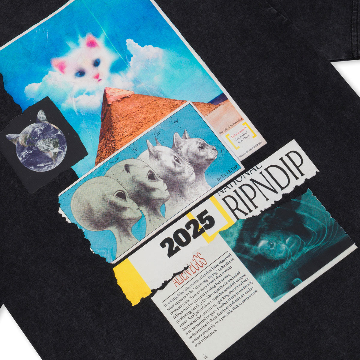 RIPNDIP Nerm Geo T-Shirt - Black Vintage Wash image 3