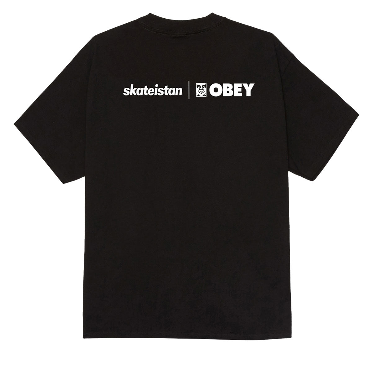 Obey Skateistan T-Shirt - Black image 2