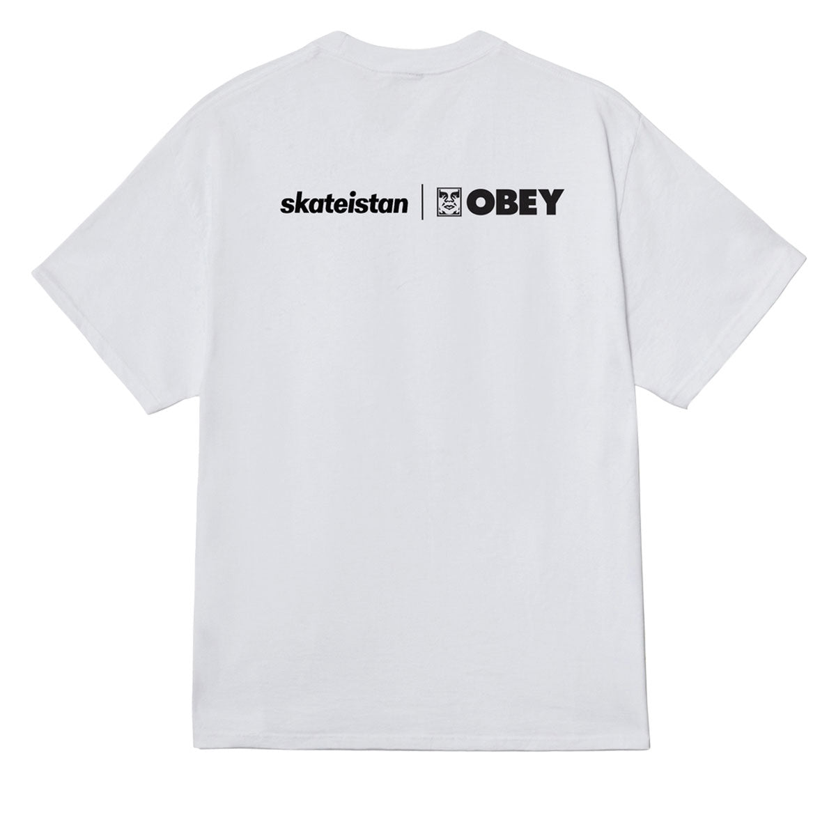 Obey Skateistan T-Shirt - White image 2