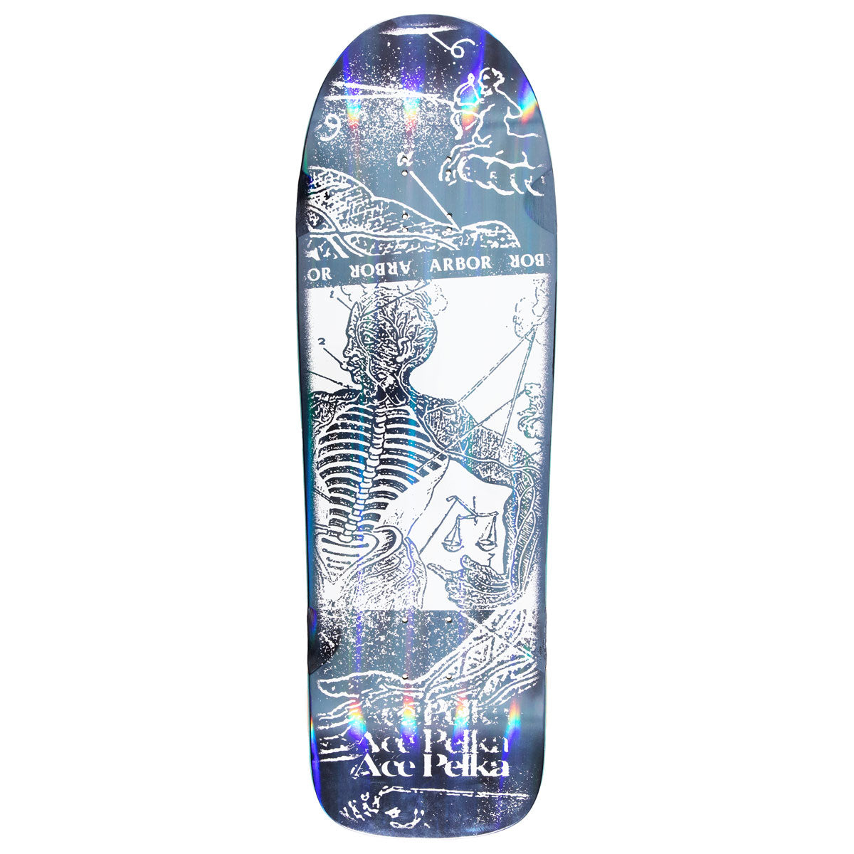 Arbor Ace Pelka Anatomy Skateboard Deck - 9.75