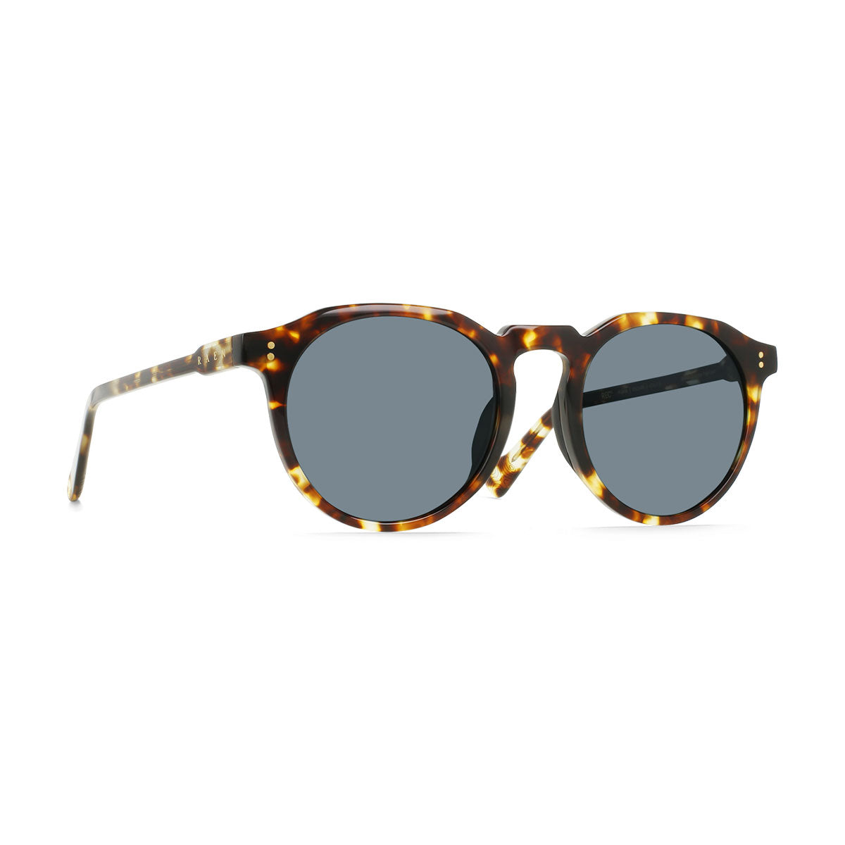 Raen Remmy Rec 52 Sunglasses - Brindle Tortoise/Terra Colorboost Polarized image 1