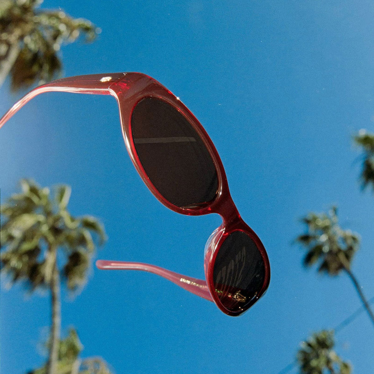 Crap Eyewear The Mini Funk Sunglasses - Crystal Black Cherry Bio/Desert image 4