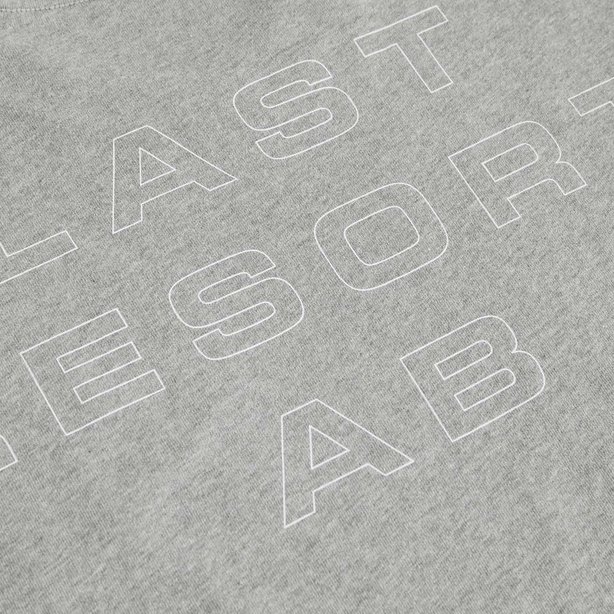 Last Resort AB Eurostyle T-Shirt - Grey Melange/White – Daddies Board Shop