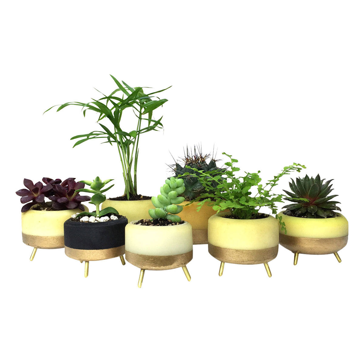 MapleXO Street Planter image 4