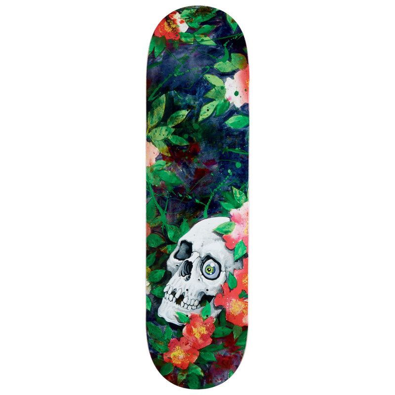Deathwish Neen Williams We Fell Into It Skateboard Deck - 8.50