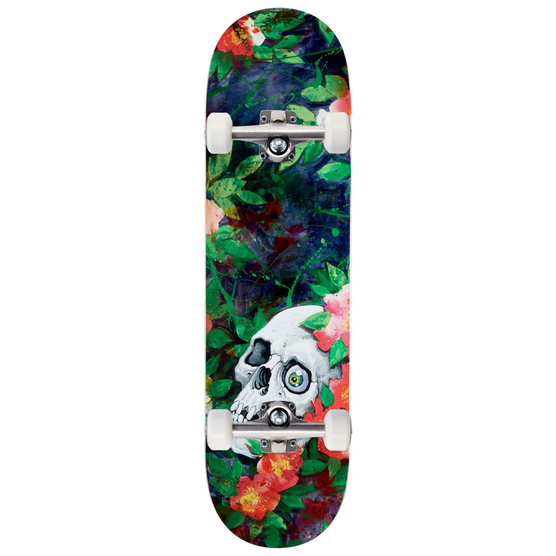 Deathwish Neen Williams We Fell Into It Skateboard Complete - 8.50
