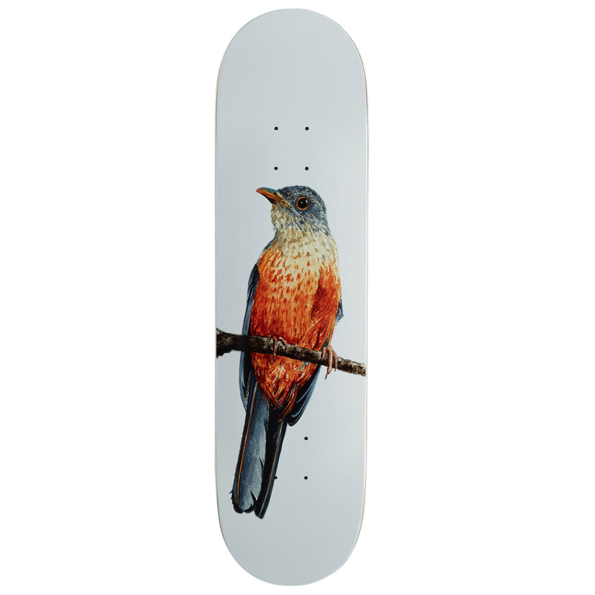 Deathwish Yuri Sabia-Laranjeira Facchini Skateboard Deck - 8.125