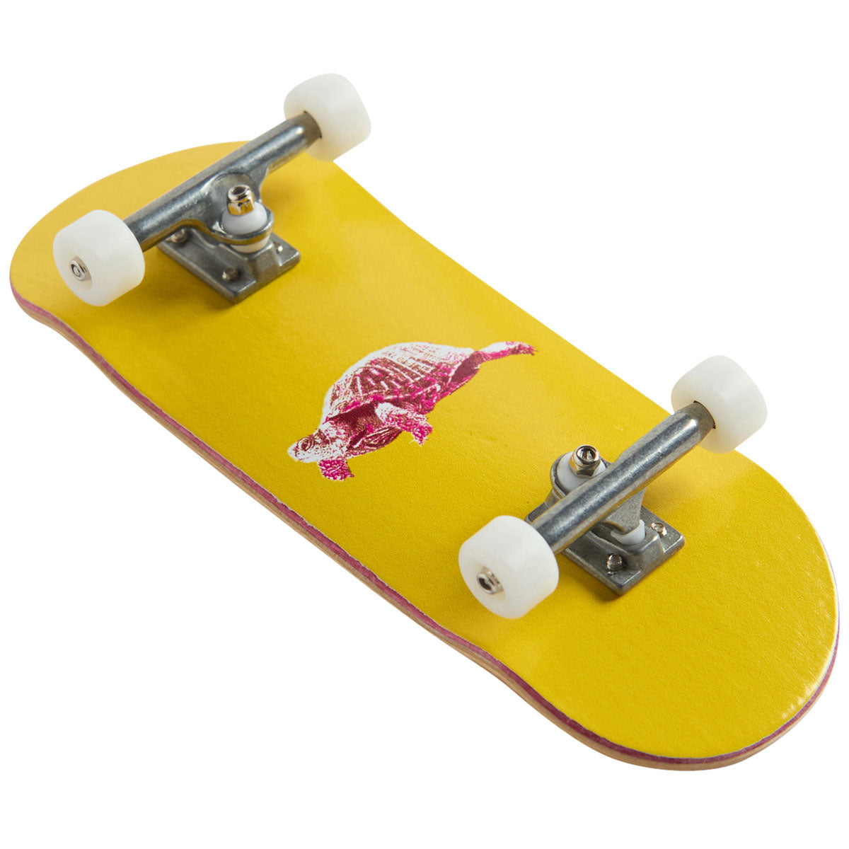 Unique Box Turtle Nesting Fingerboard Complete - 34mm image 3