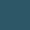 Frog Argyle Socks - Teal – Daddies Board Shop